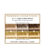 HAIRWONDER Ilgalaikiai plaukų dažai, spalva šviesi aukso blondinė 8.3 - Image 2